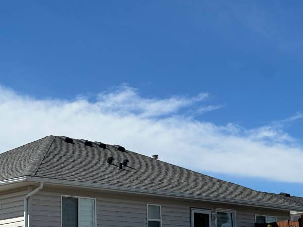 Best Commercial Roofing Services  in Oakville, MO